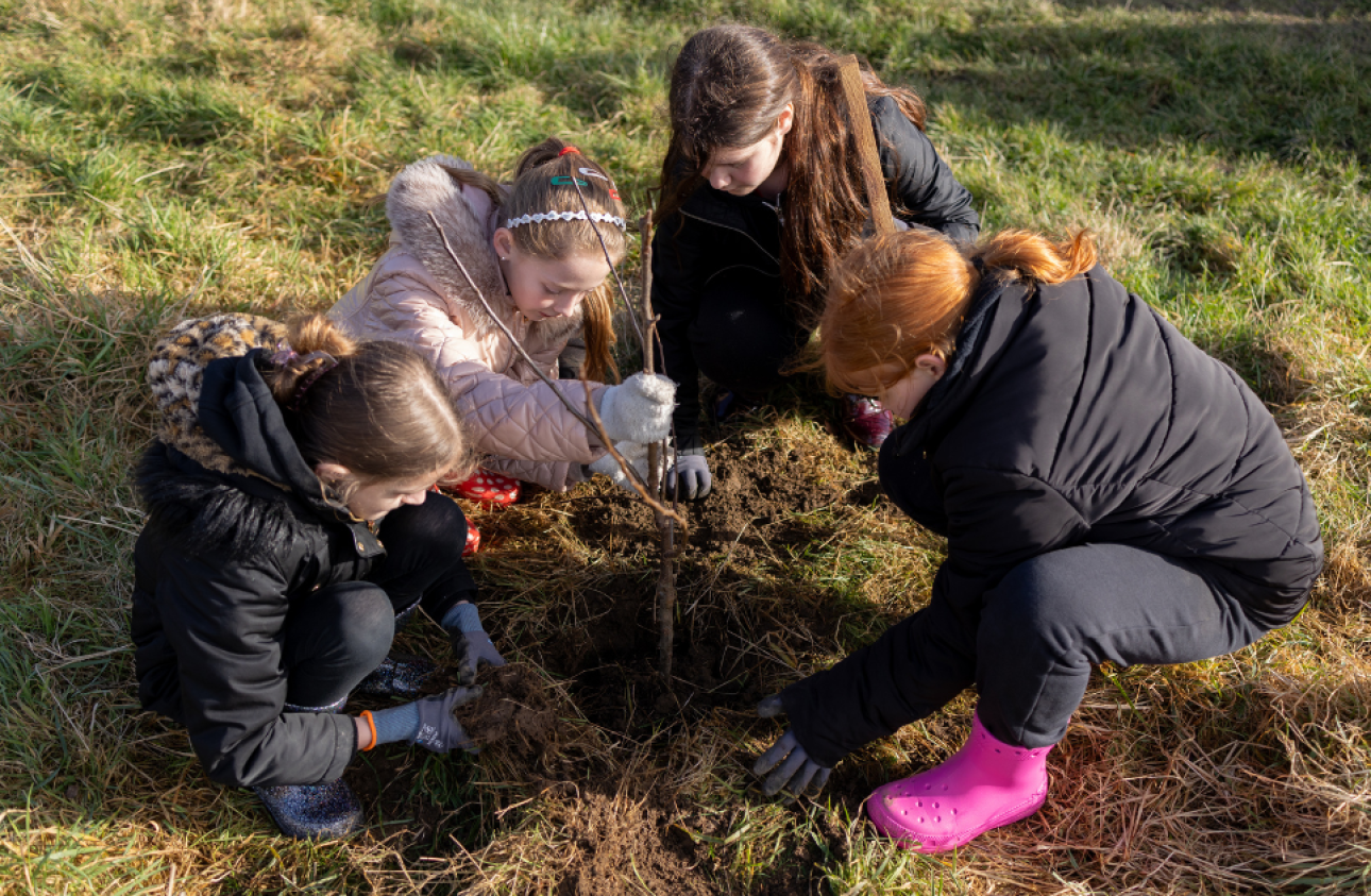 A group of children planting trees.